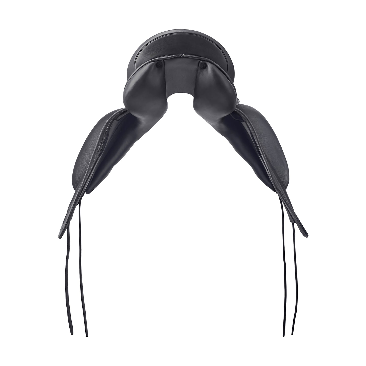 Prestige Passion K Dressage