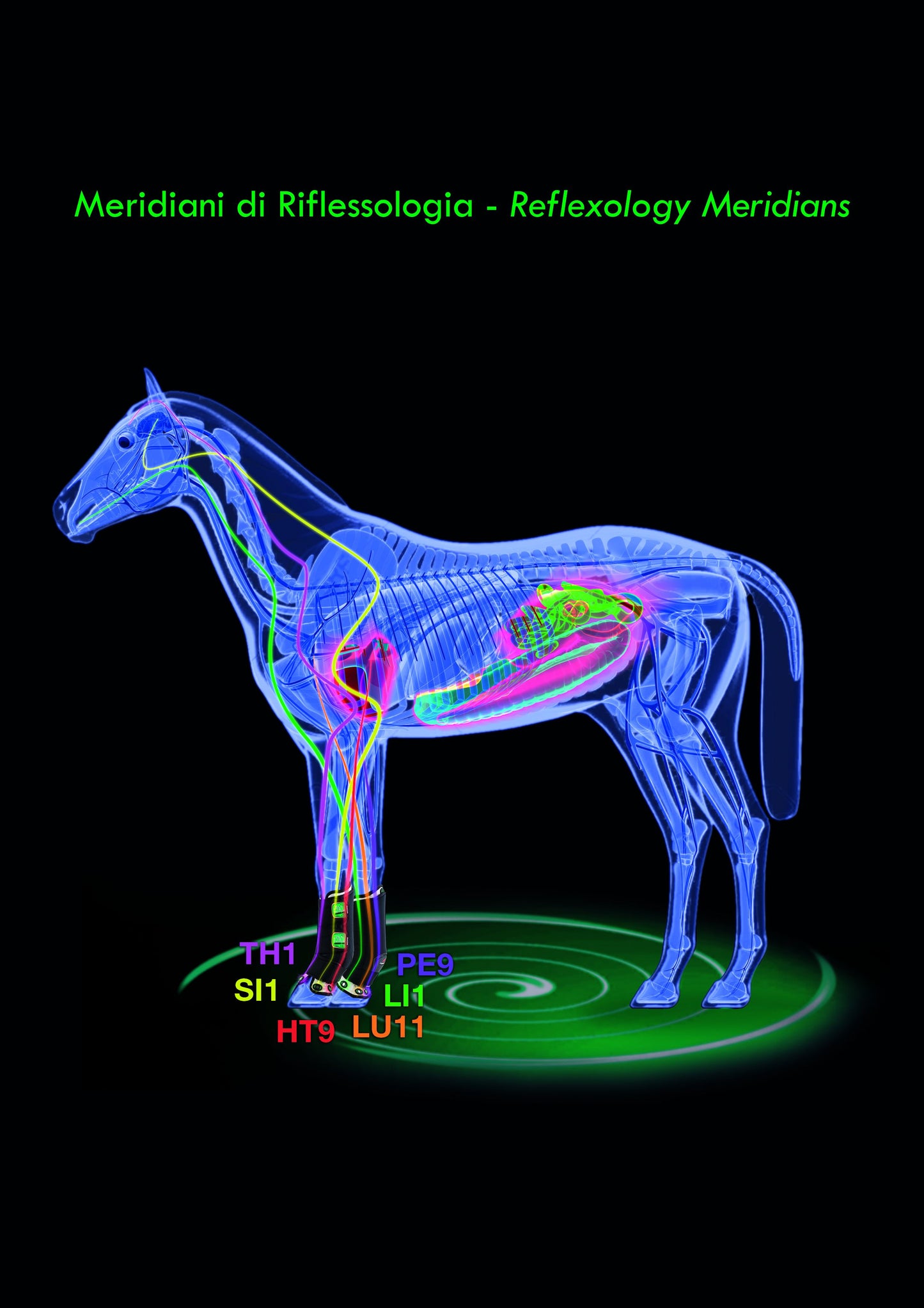 Zandona Therapeutic Support Air Boot -  Front E2710T Back E2715T