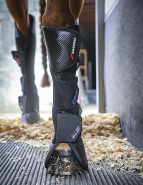 Zandona | Stable, Transport, Paddock Boots