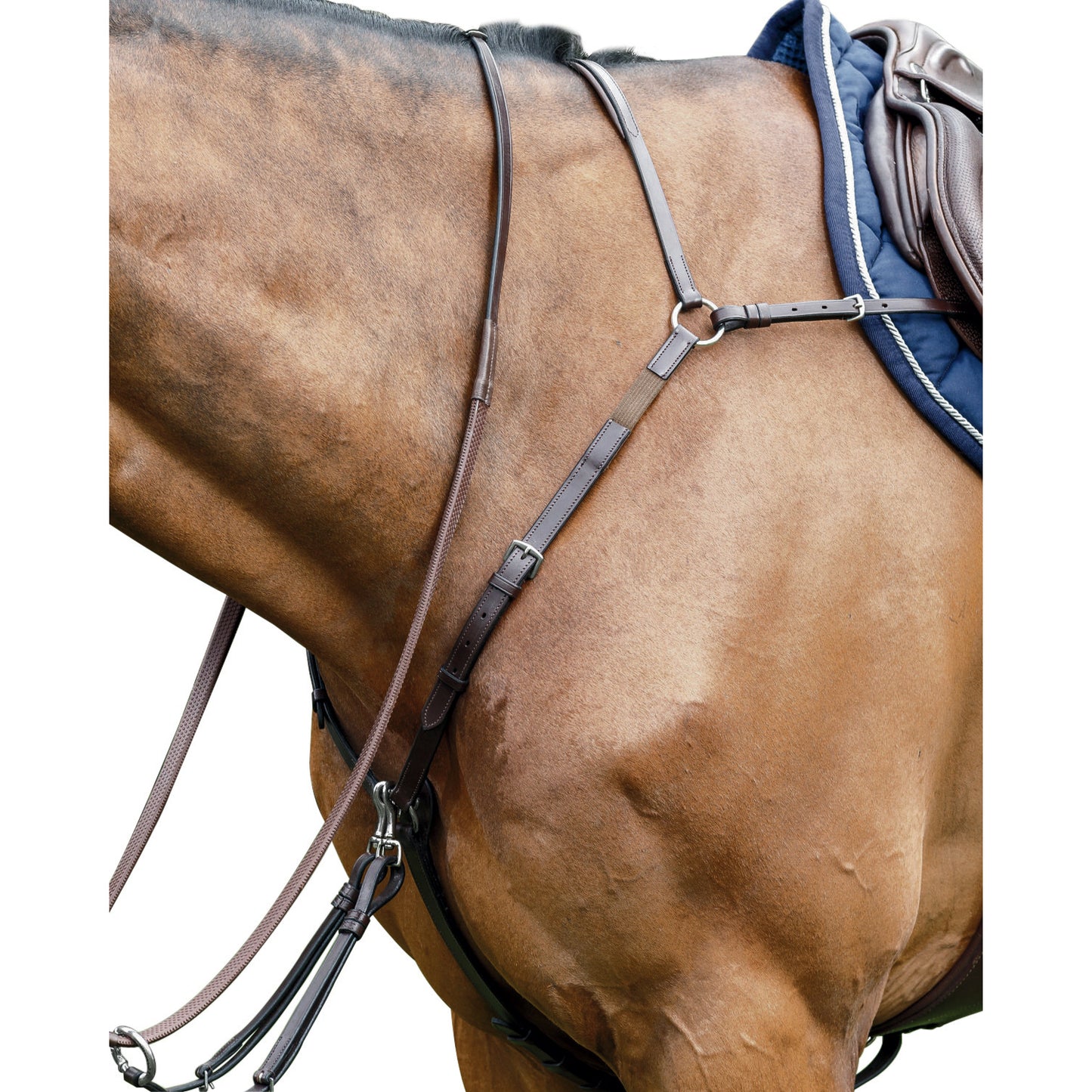 Prestige Bridge Breastplate 3D029