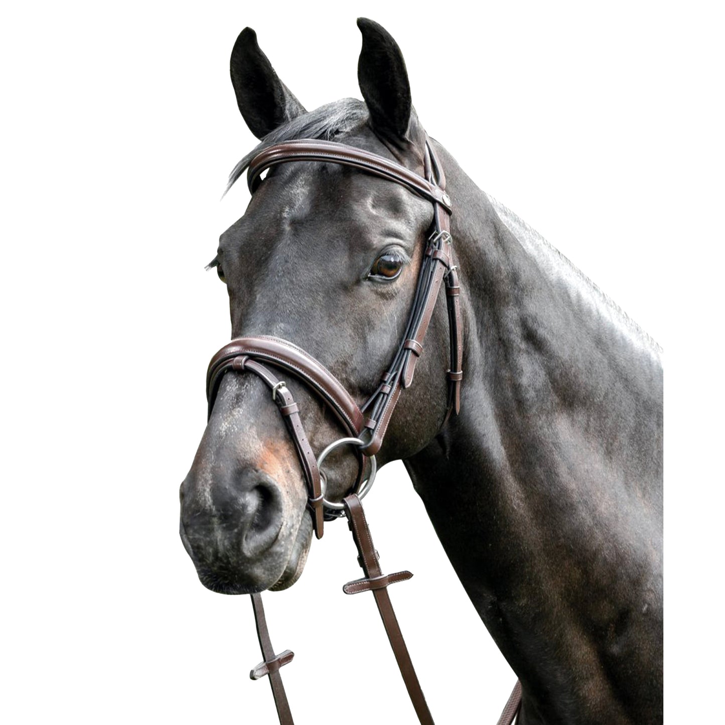 Prestige Leather Triple raised Bridle 3E038