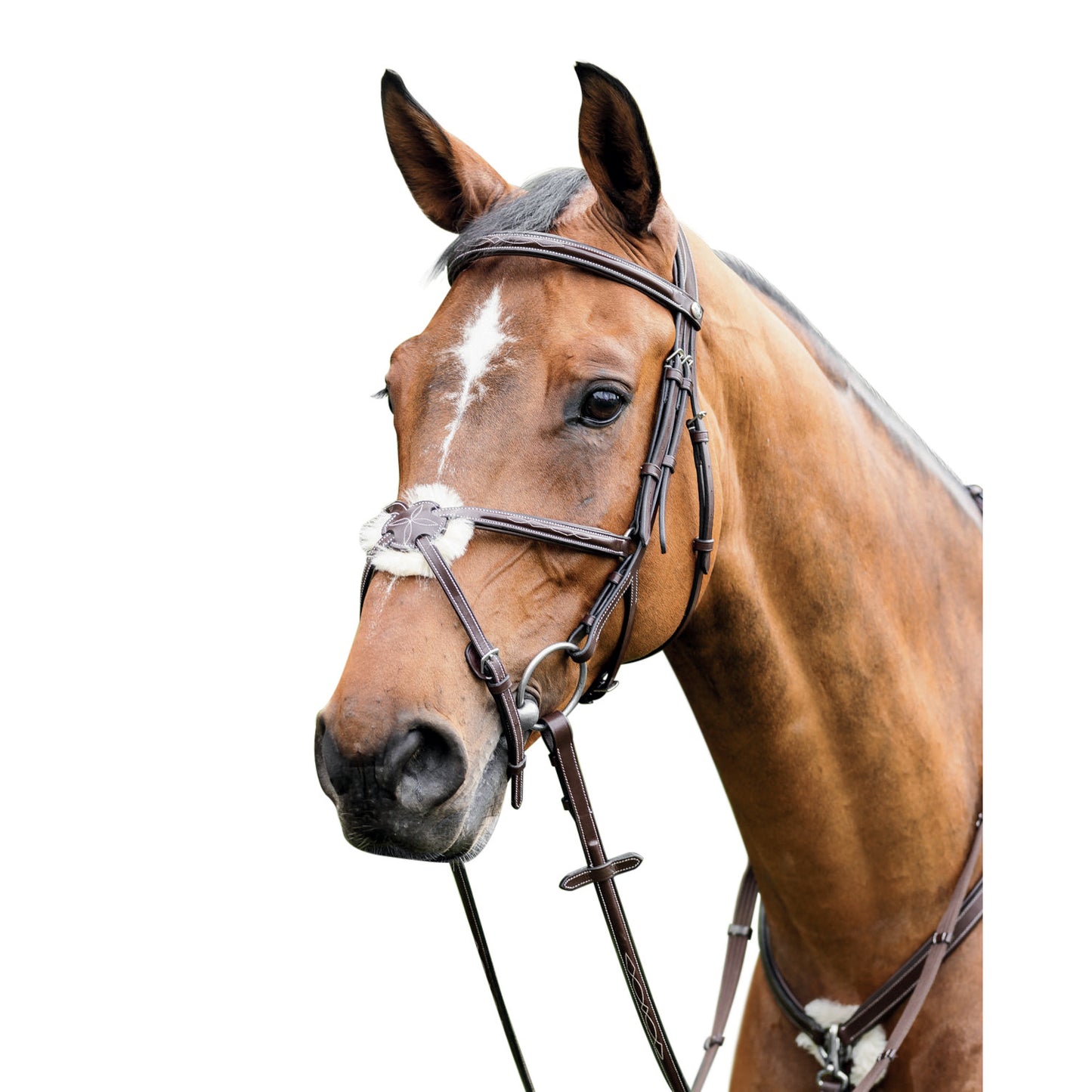 Prestige Leather Bridle with Mexican Noseband 3E080