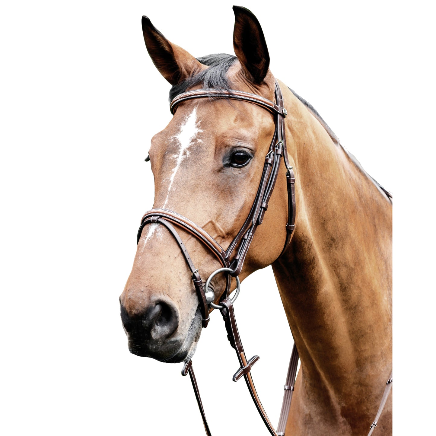 Prestige Thin Leather Bridle 3E087