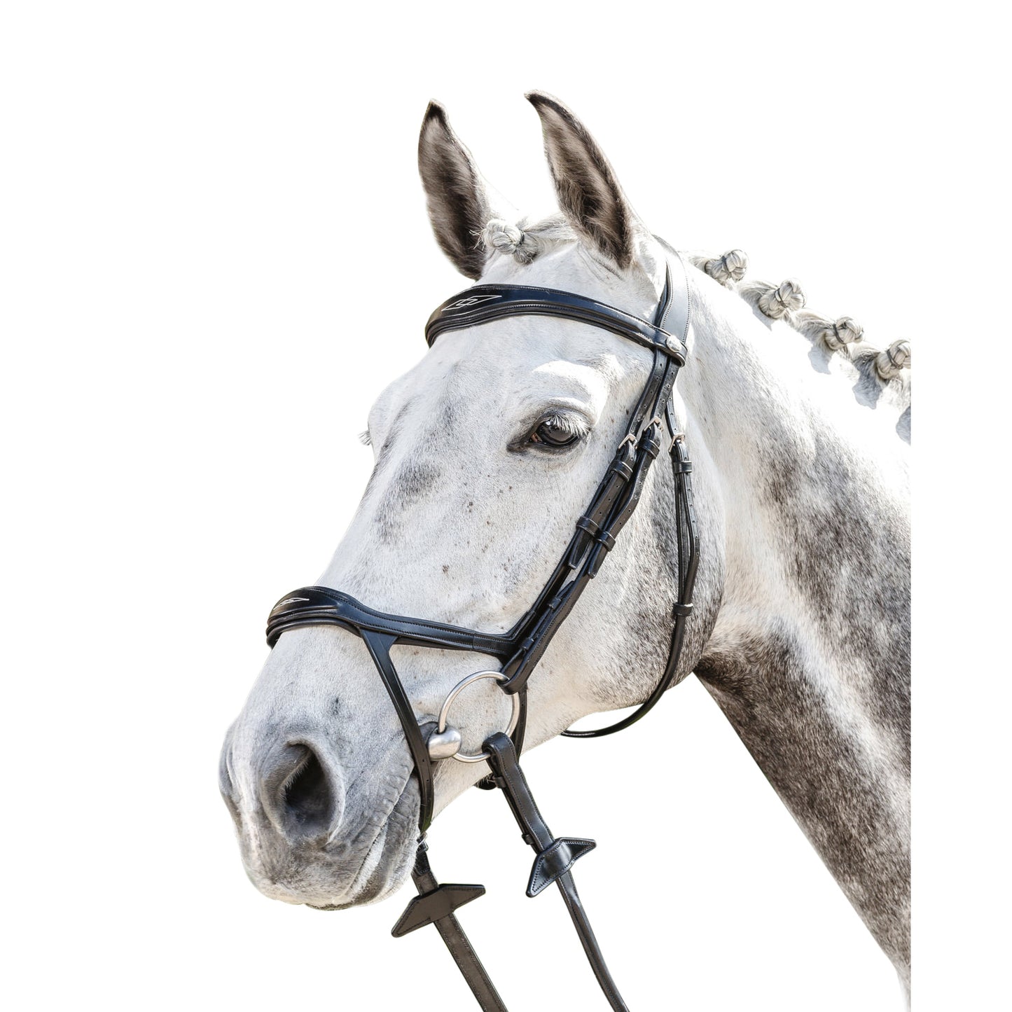 Prestige Double Drop Bridle 3E143