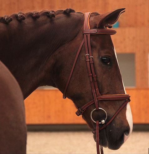 Butet Premium Nosebands