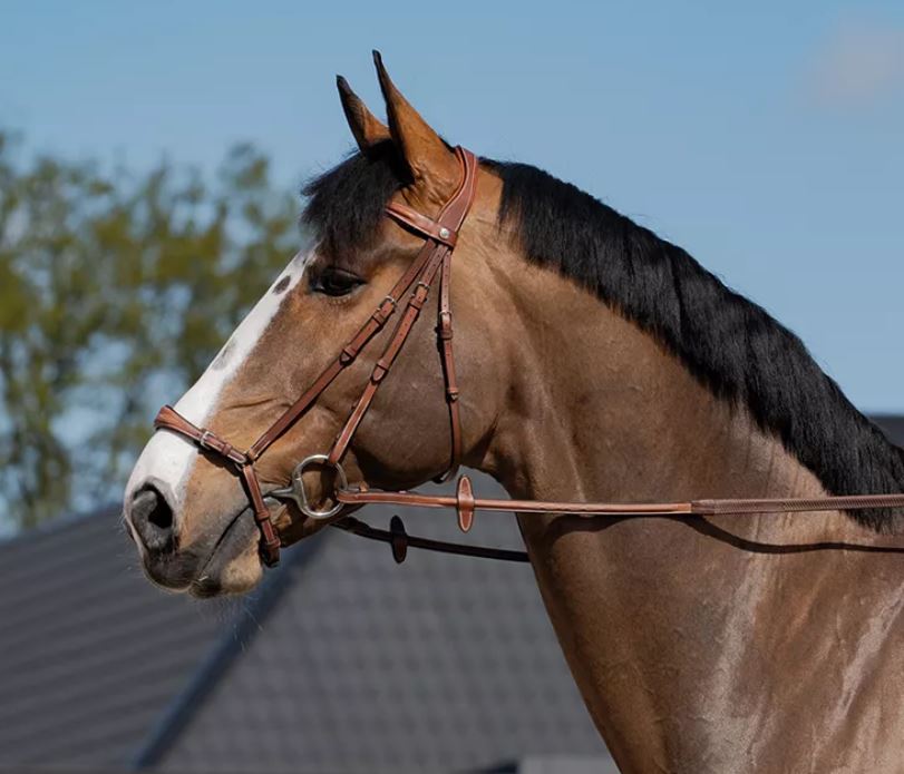 Butet Premium Drop Noseband Bridle (Bag Included) BRS01