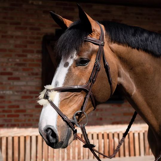 Butet Premium Nosebands