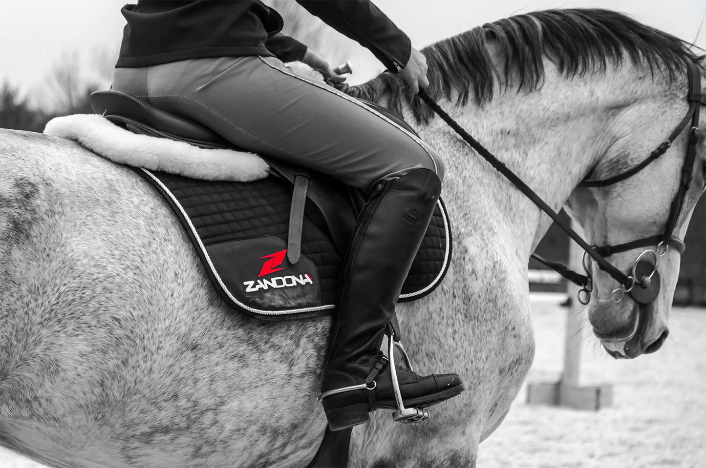 Zandona MCL Jumping Saddle Pad E9080